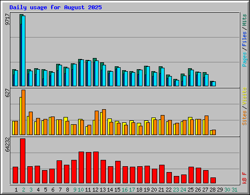 Daily usage for August 2025