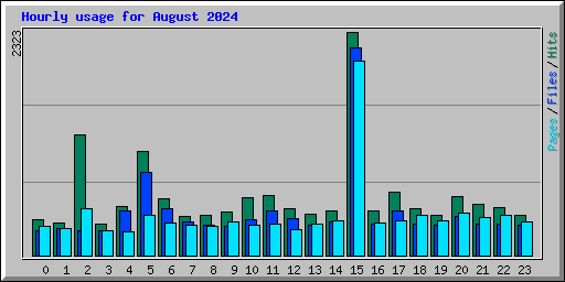 Hourly usage for August 2024