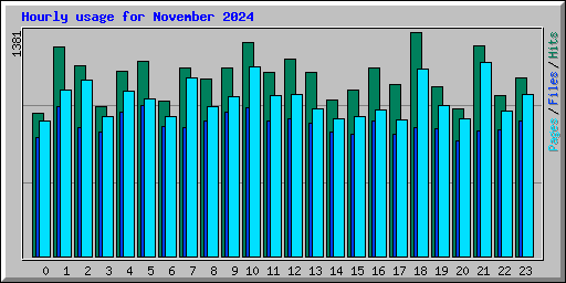 Hourly usage for November 2024