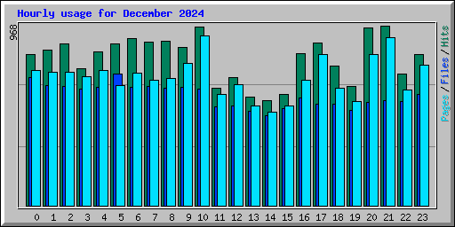 Hourly usage for December 2024