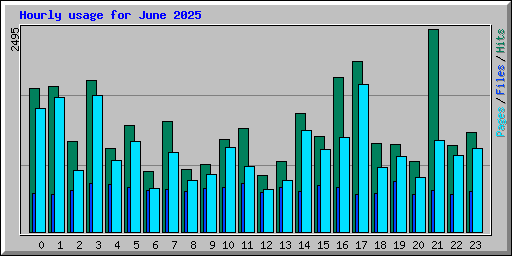 Hourly usage for June 2025