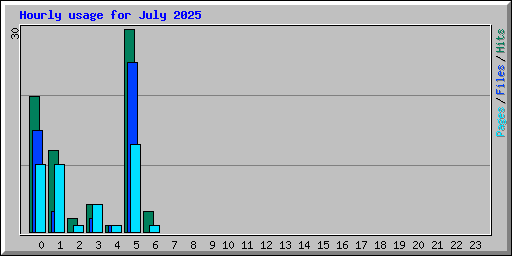 Hourly usage for July 2025