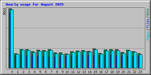 Hourly usage for August 2025