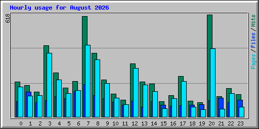 Hourly usage for August 2026