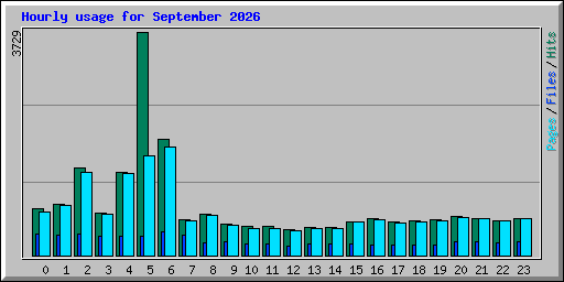 Hourly usage for September 2026