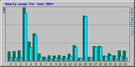 Hourly usage for June 2024