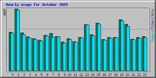 Hourly usage for October 2025