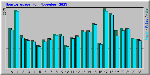 Hourly usage for November 2025