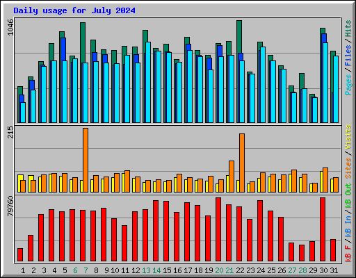 Daily usage for July 2024