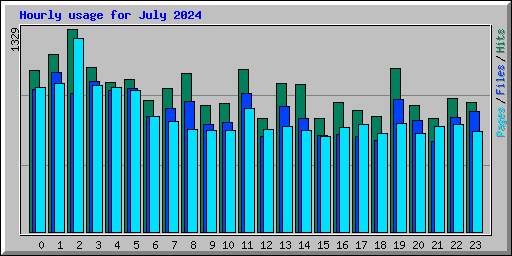 Hourly usage for July 2024