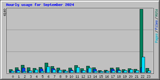 Hourly usage for September 2024