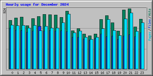 Hourly usage for December 2024