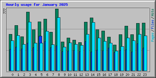 Hourly usage for January 2025