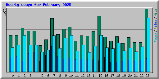 Hourly usage for February 2025