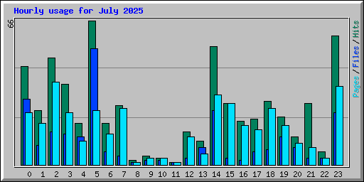 Hourly usage for July 2025