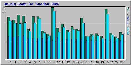 Hourly usage for December 2025