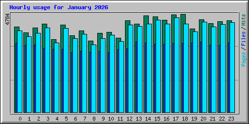 Hourly usage for January 2026