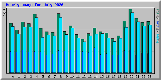Hourly usage for July 2026