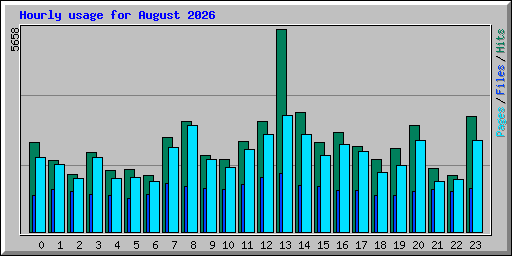 Hourly usage for August 2026