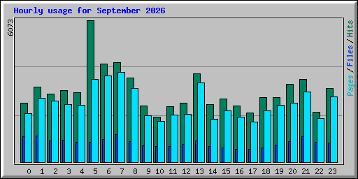 Hourly usage for September 2026
