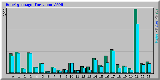 Hourly usage for June 2025