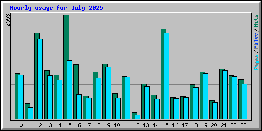 Hourly usage for July 2025