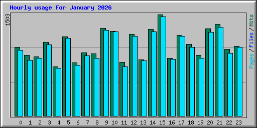 Hourly usage for January 2026