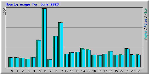 Hourly usage for June 2026